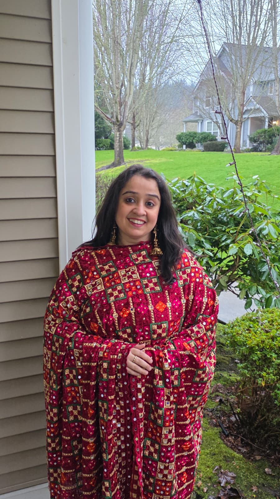 The Ruby Tapestry - Phulkari Dupatta
