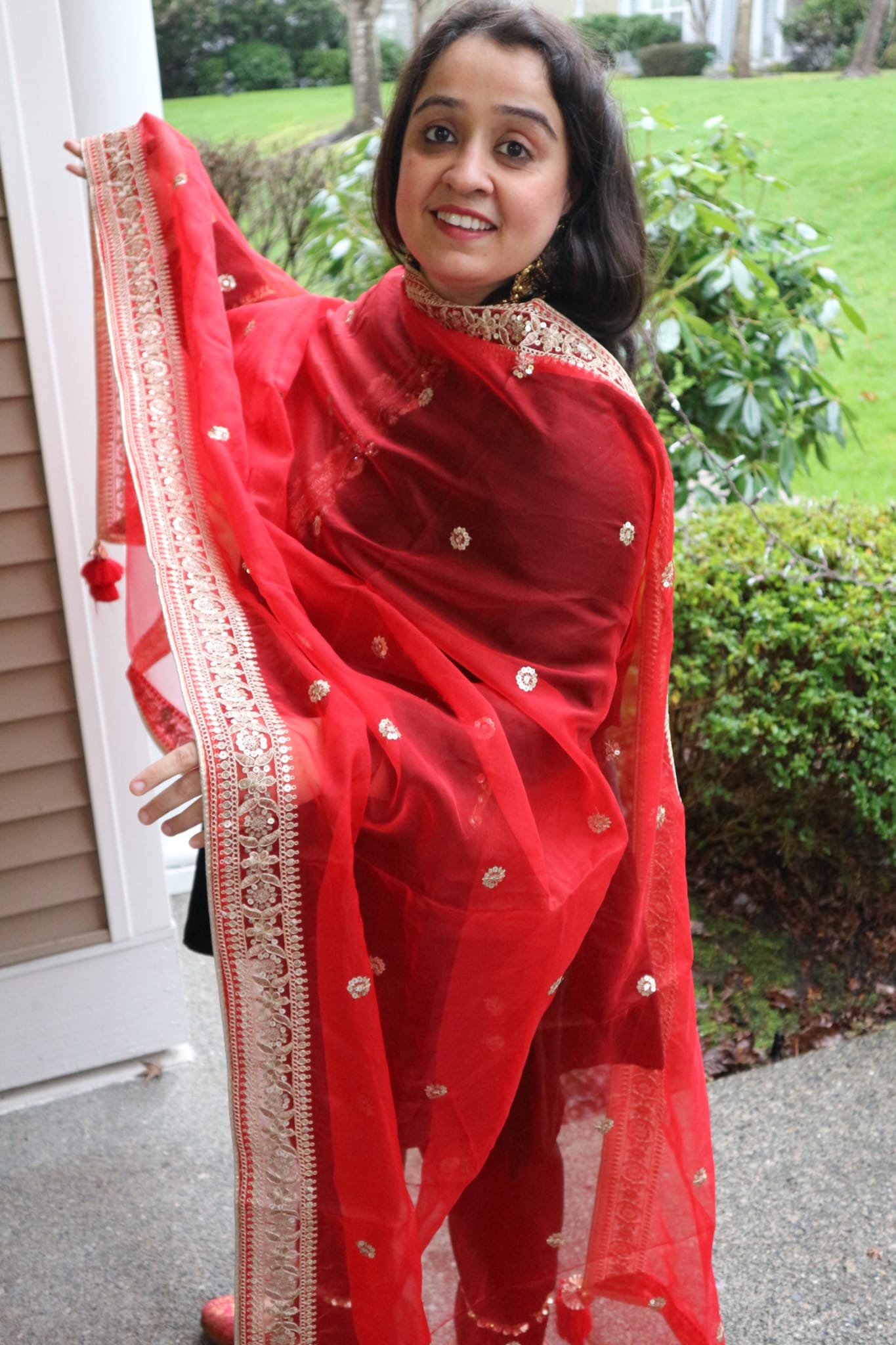 The Noor-e-Laal- Organza Dupatta