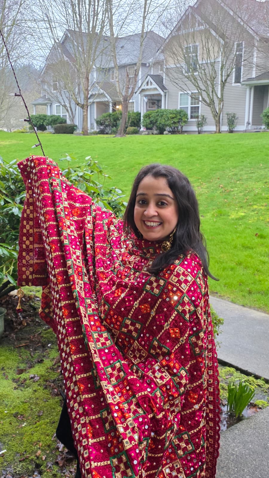 The Ruby Tapestry - Phulkari Dupatta
