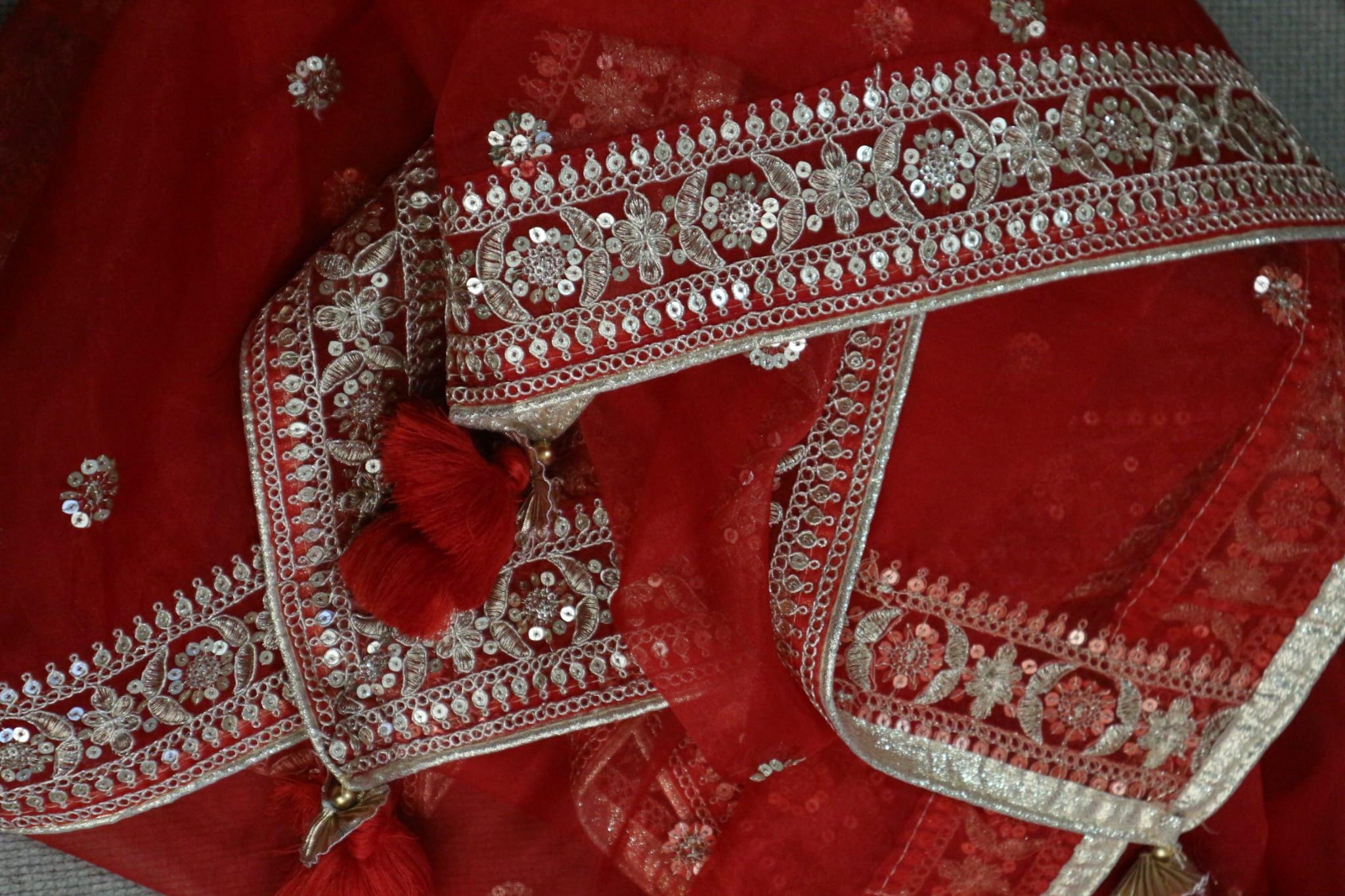 The Noor-e-Laal- Organza Dupatta
