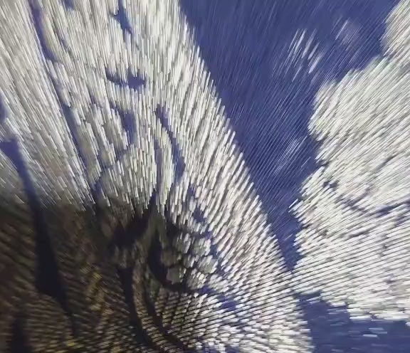 Royal Blue Banarasi Silk Dupatta | Silver Zari Floral Weave, Indian Ethnic Wear